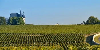 France Golf Cruise Vacation Package Bordeaux Vineyard - PerryGolf + Azamara Cruises